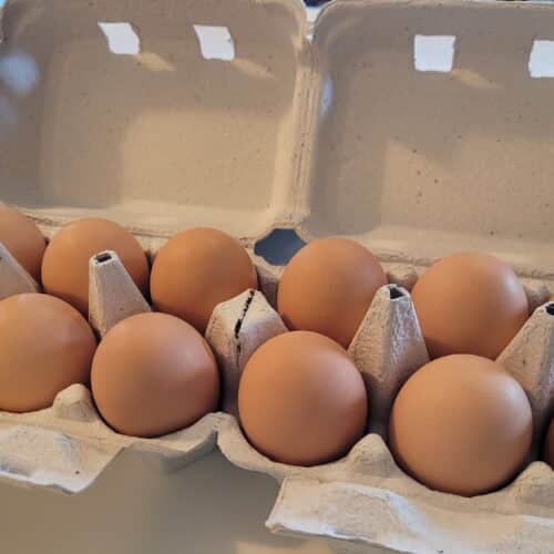 Chicken Eggs, 1 DOZEN, Size: LARGE Farm Fresh Chicken Eggs, Free Range, Grain Fed, BROWN Eggs!